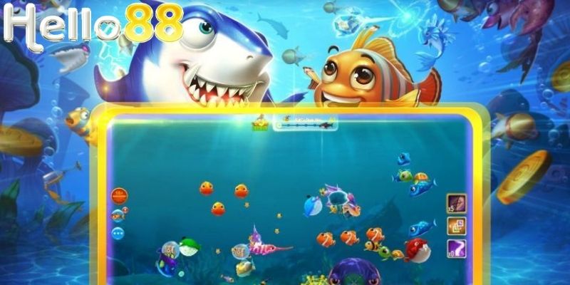 Sinh vật biển đa dạng với nhiều cấp độ khác nhau